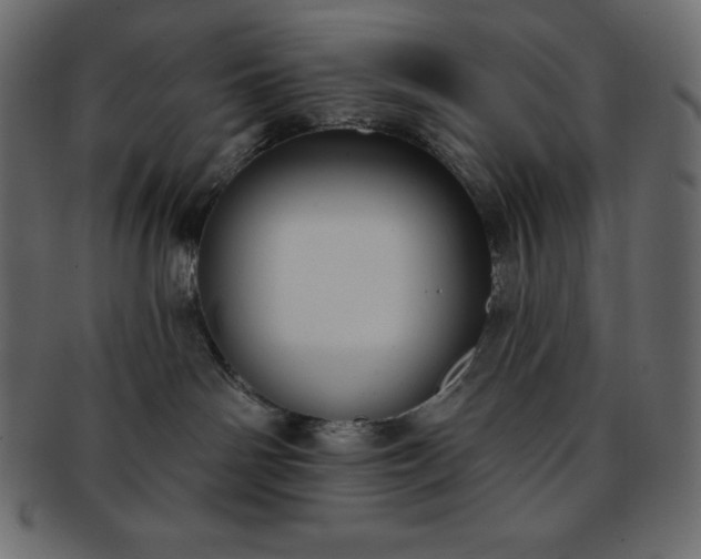X0000093360142200710191104