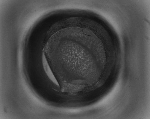 X0000093360143200710191104