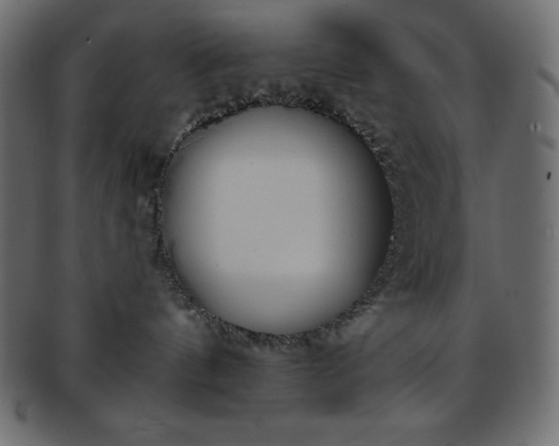 X0000093360144200710191104
