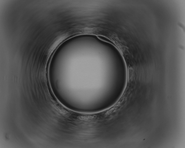 X0000093360147200710191104