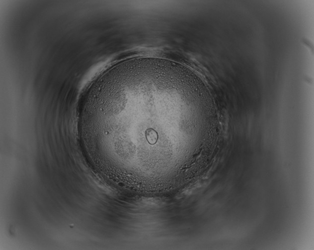 X0000093360149200710191104