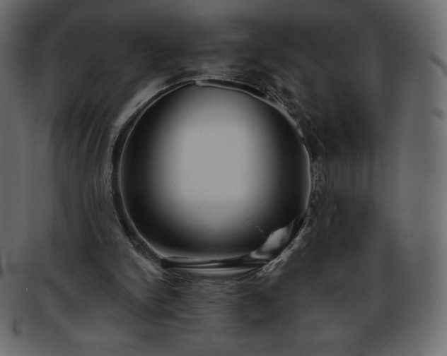 X0000093360150200710191104