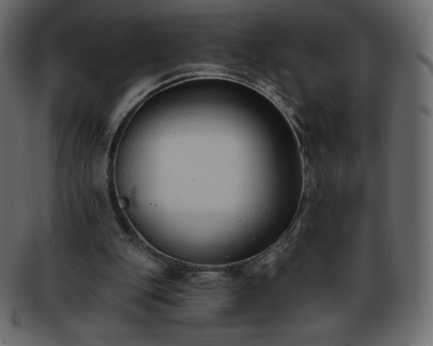 X0000093360151200710191104