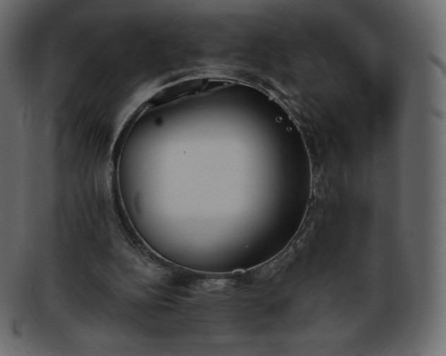 X0000093360152200710191104
