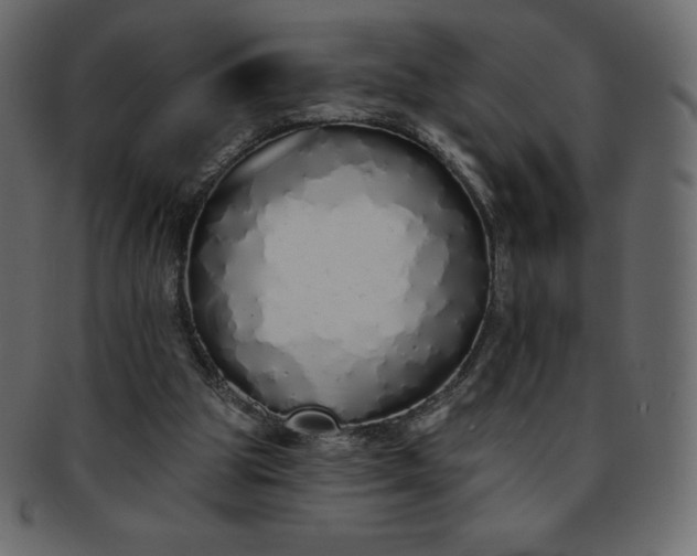 X0000093360153200710191104
