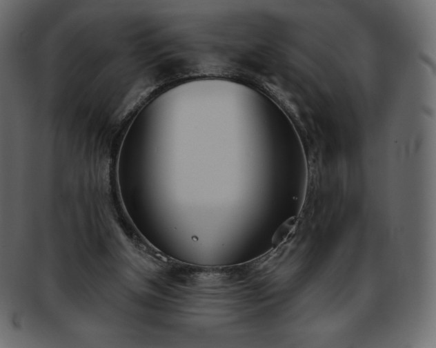 X0000093360154200710191104