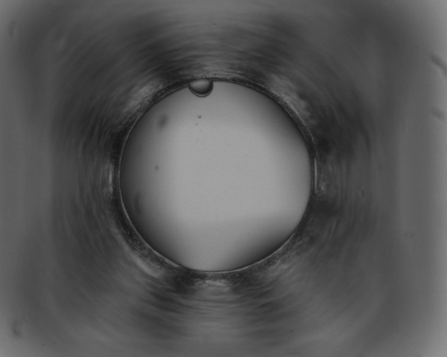 X0000093360157200710191104