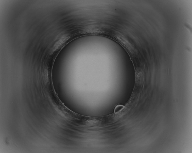 X0000093360158200710191104