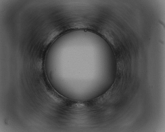 X0000093360159200710191104