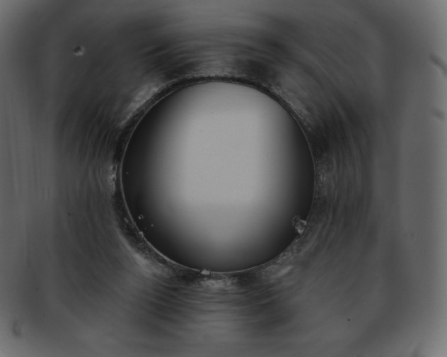 X0000093360160200710191104