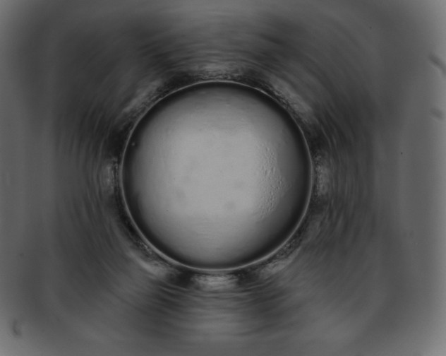 X0000093360165200710191104