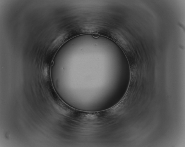 X0000093360166200710191104