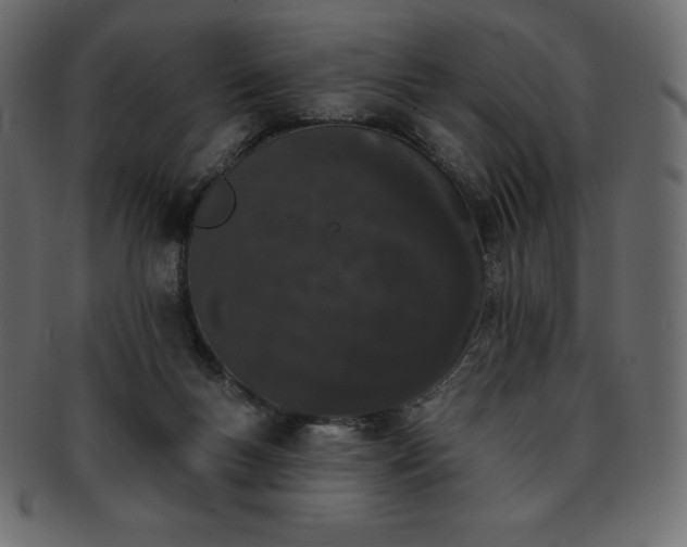 X0000093360167200710191104