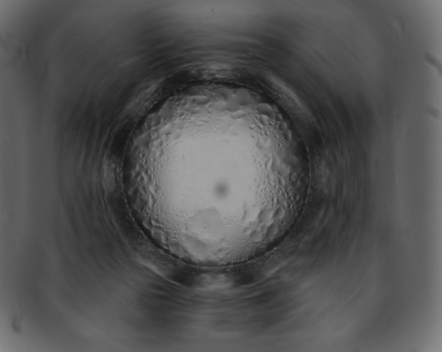 X0000093360169200710191104