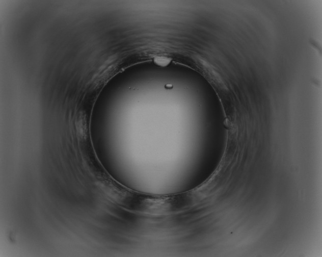 X0000093360170200710191104