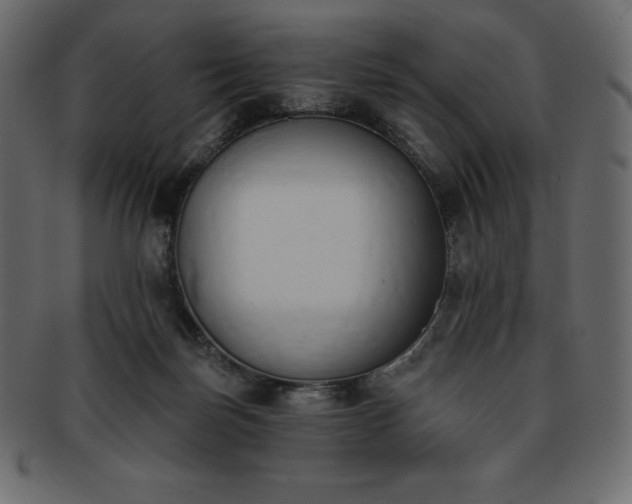 X0000093360171200710191104