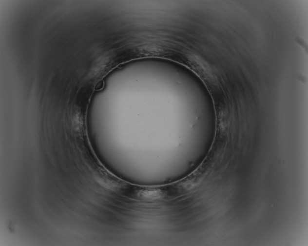 X0000093360173200710191104
