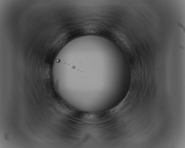 X0000093360174200710191104