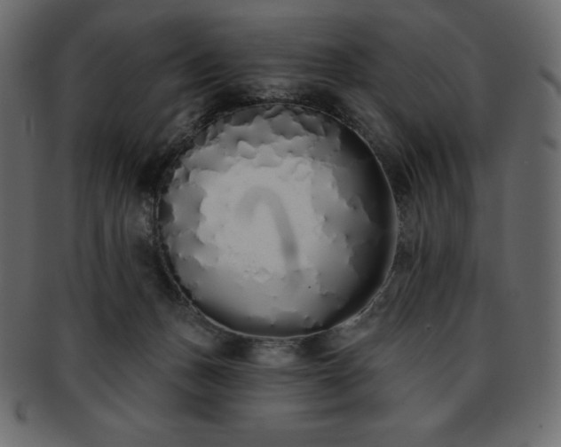 X0000093360175200710191104
