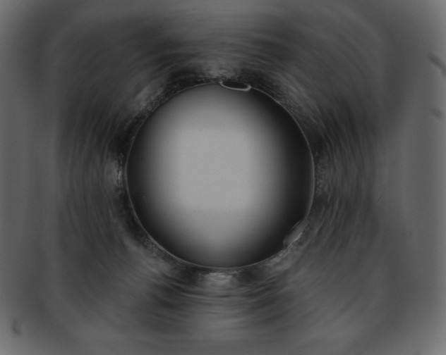X0000093360176200710191104