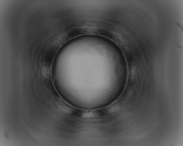 X0000093360177200710191104