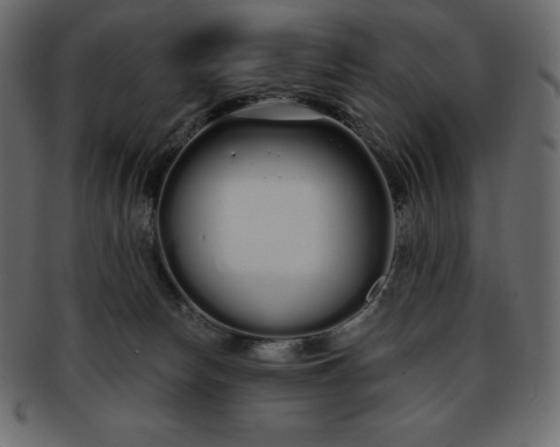X0000093360178200710191104