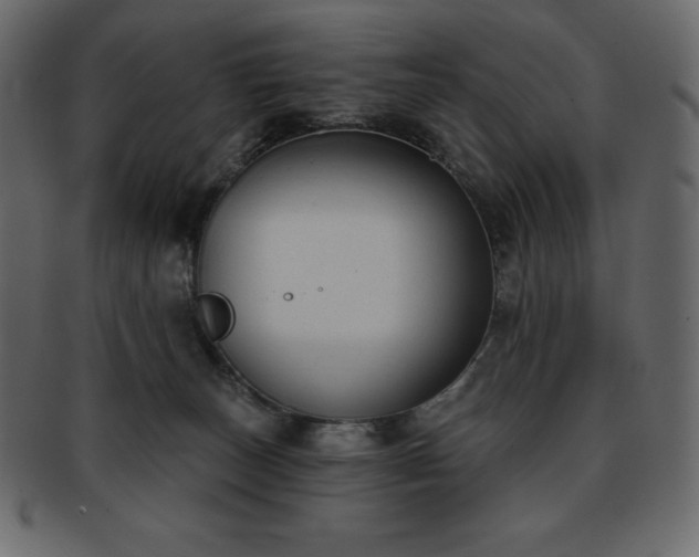 X0000093360179200710191104