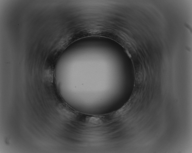 X0000093360180200710191104
