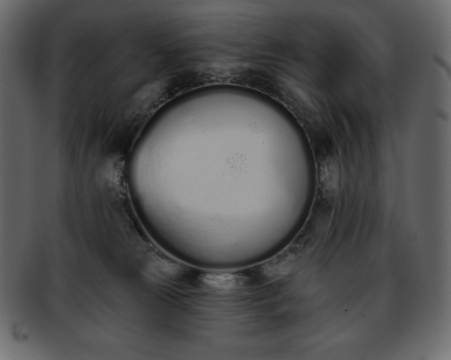 X0000093360181200710191104