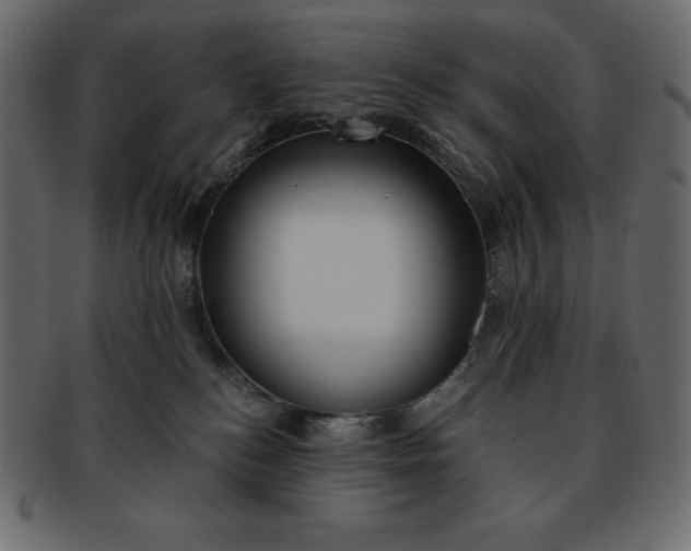 X0000093360184200710191104
