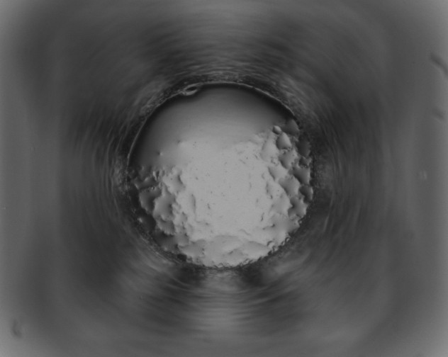 X0000093360185200710191104