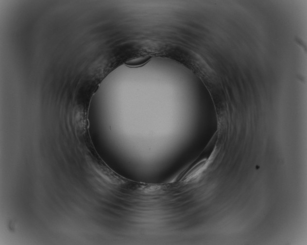 X0000093360186200710191104