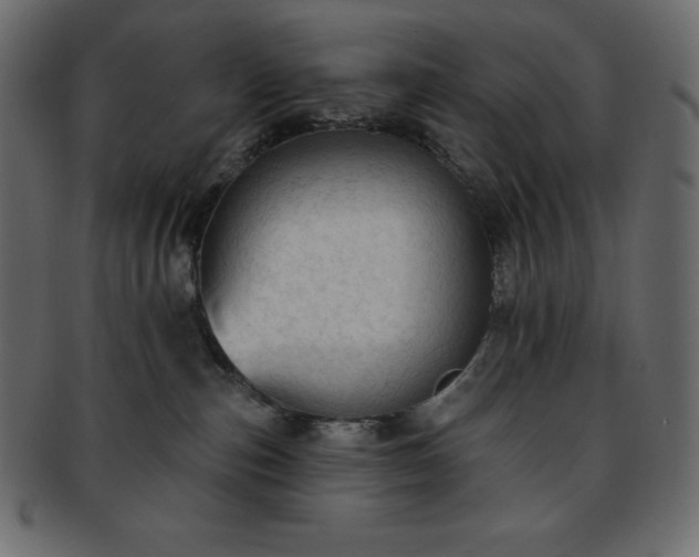 X0000093360187200710191104