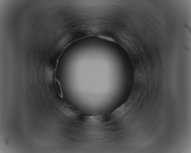 X0000093360188200710191104