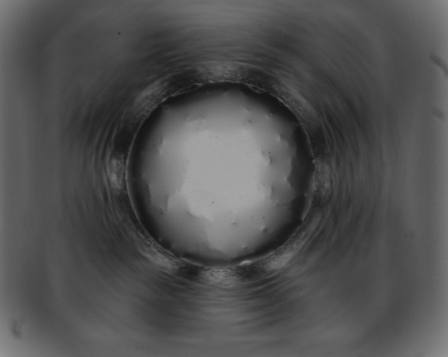 X0000093360189200710191104