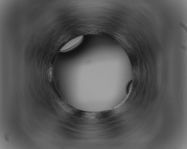 X0000093360190200710191104