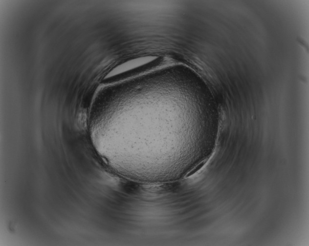 X0000093360191200710191104