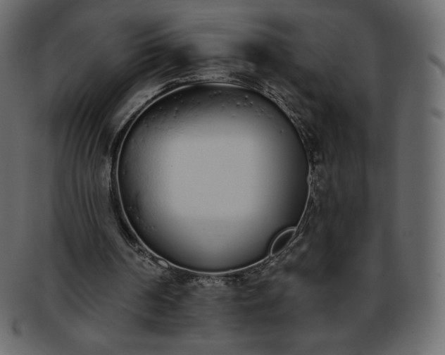 X0000093360194200710191104