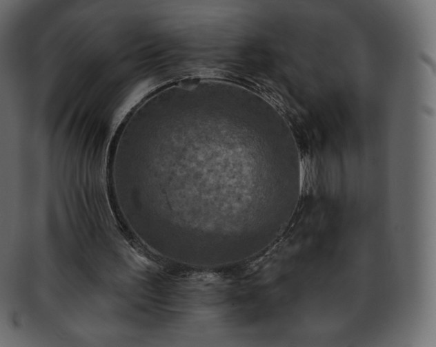 X0000093360195200710191104