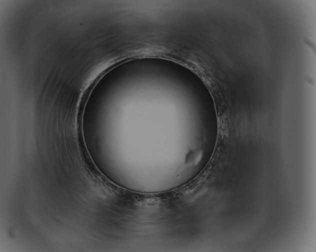X0000093360196200710191104