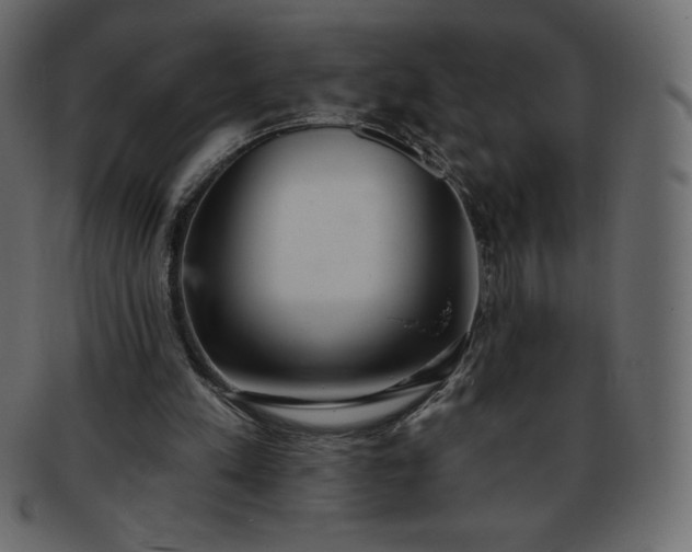 X0000093360197200710191104