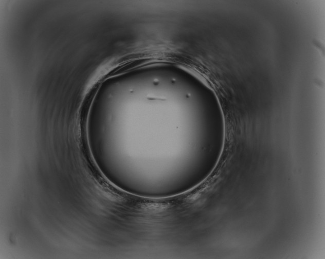 X0000093360198200710191104