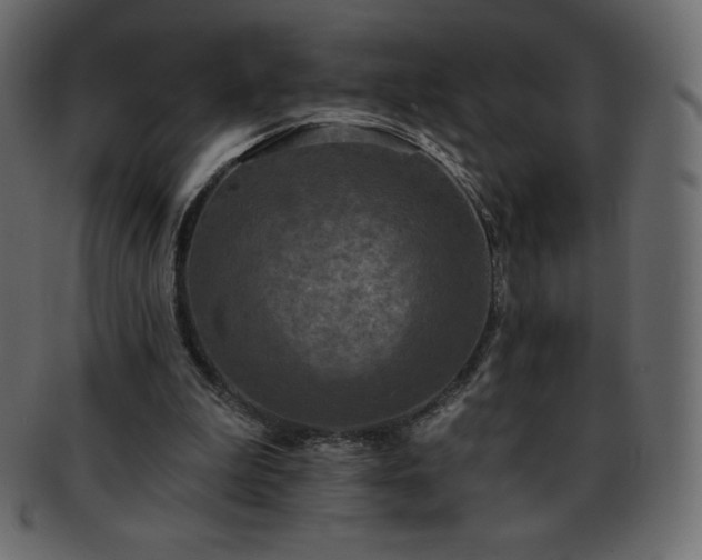 X0000093360199200710191103