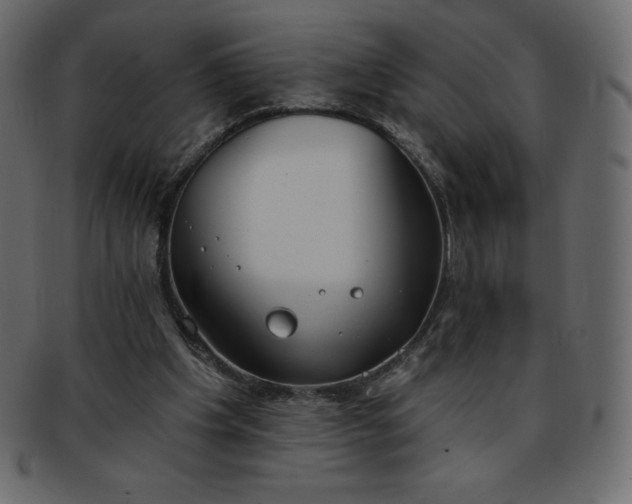 X0000093360201200710191103