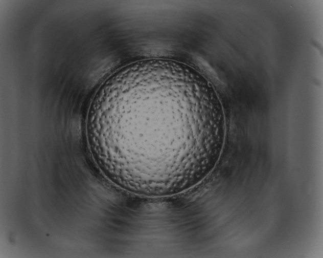 X0000093360202200710191103
