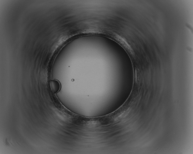 X0000093360204200710191103
