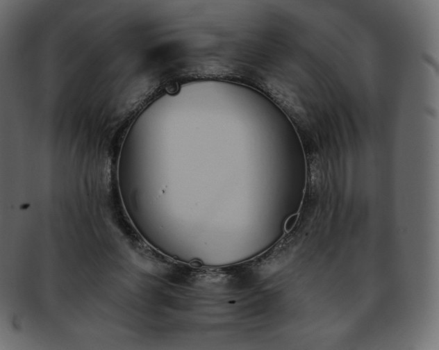 X0000093360206200710191103