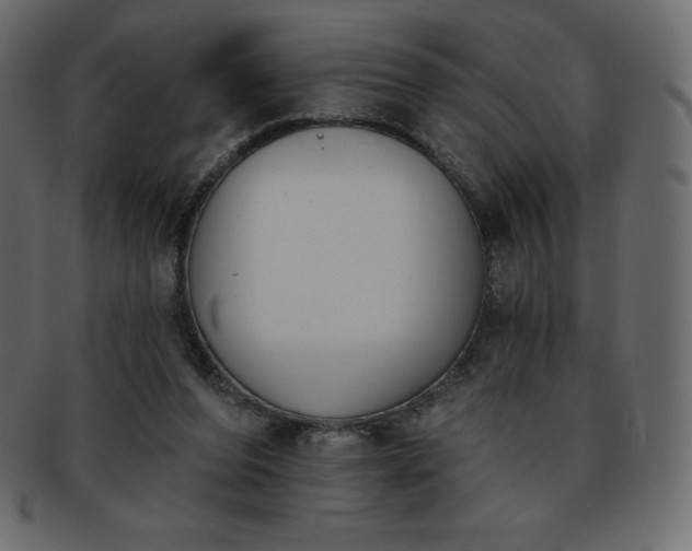 X0000093360208200710191103