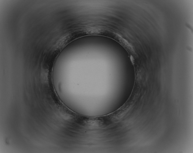 X0000093360209200710191103