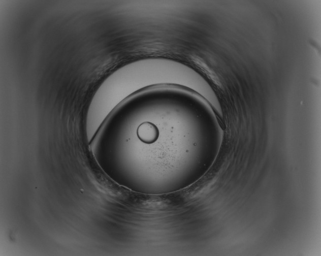X0000093360213200710191103